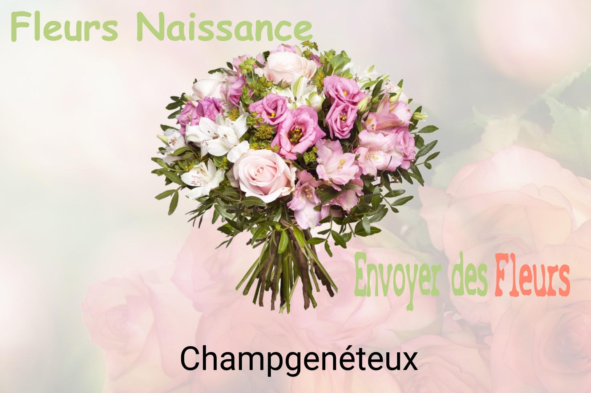 Bouquet de fleurs de naissance livré à Champgenéteux