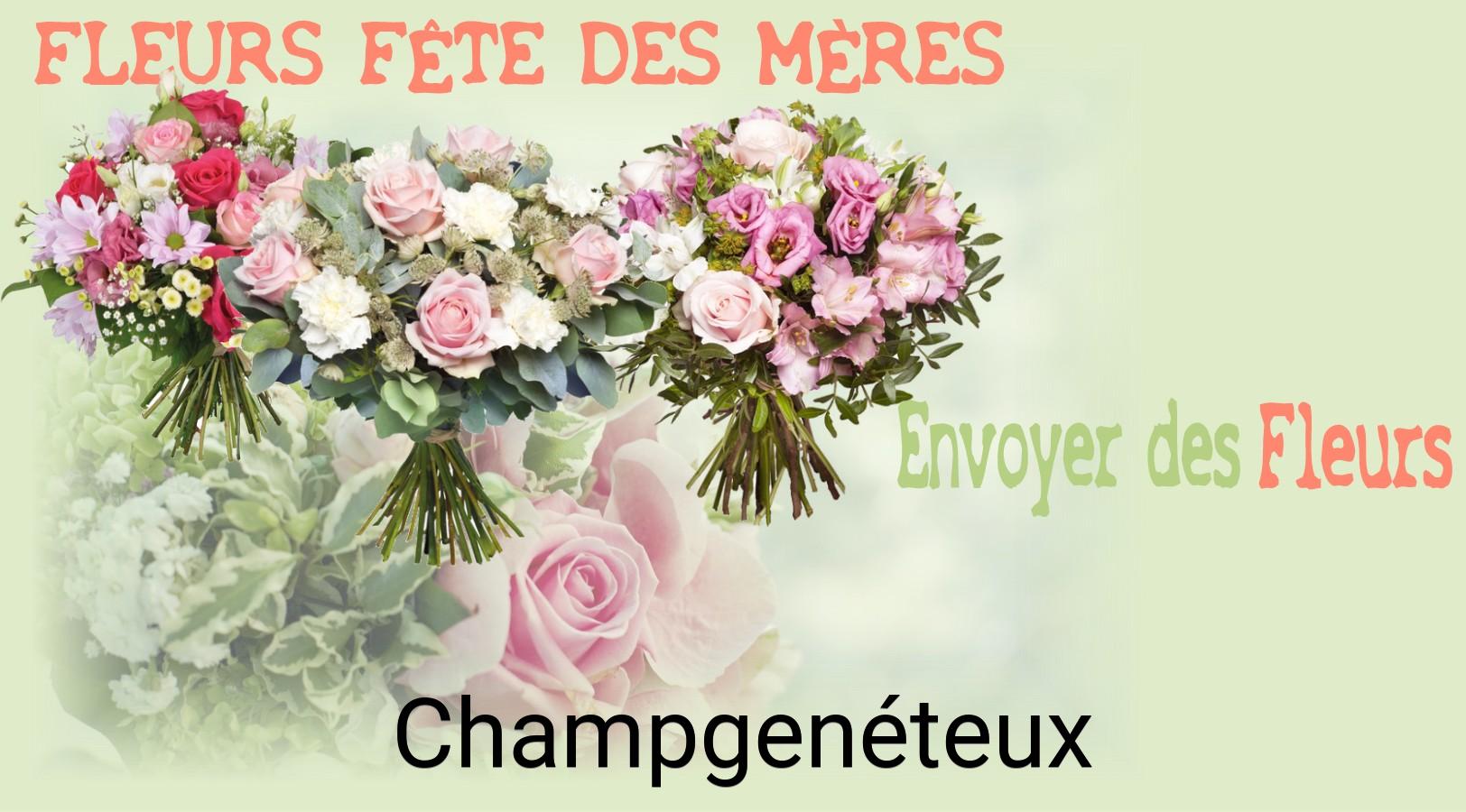 Bouquet de Fête des Mères livré à Champgenéteux
